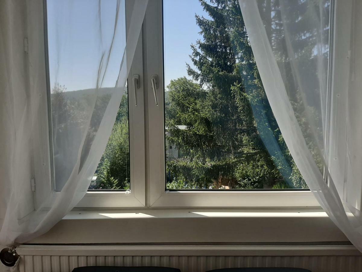 Haus Apricum - Schoen Wohnen & Gratis Parken Wien Eksteriør billede